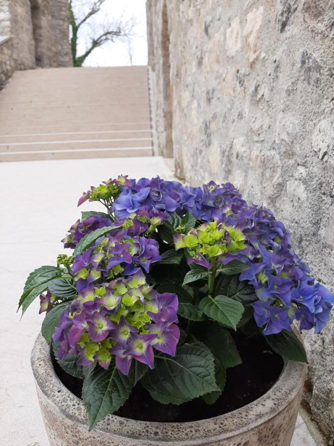 Vinica Castle Hotel Exterior foto